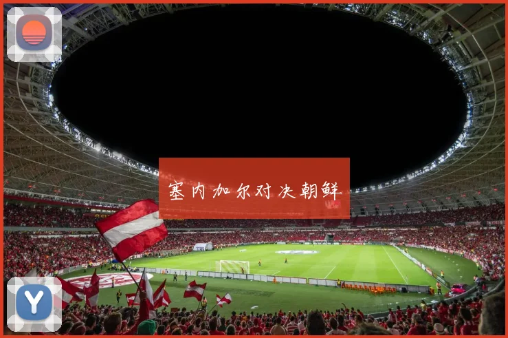 塞内加尔对决朝鲜