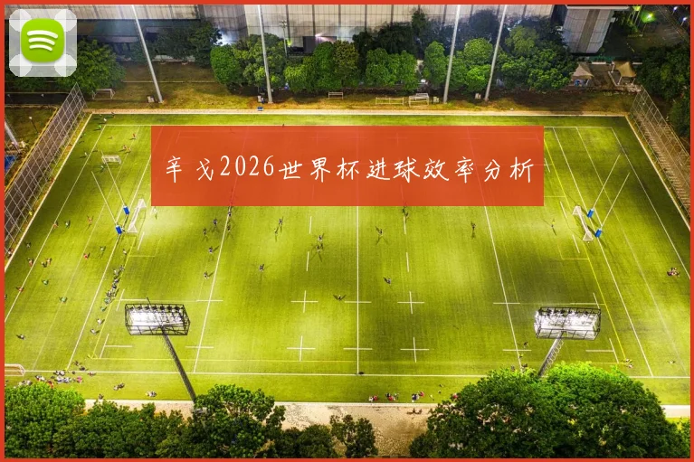 辛戈2026世界杯进球效率分析