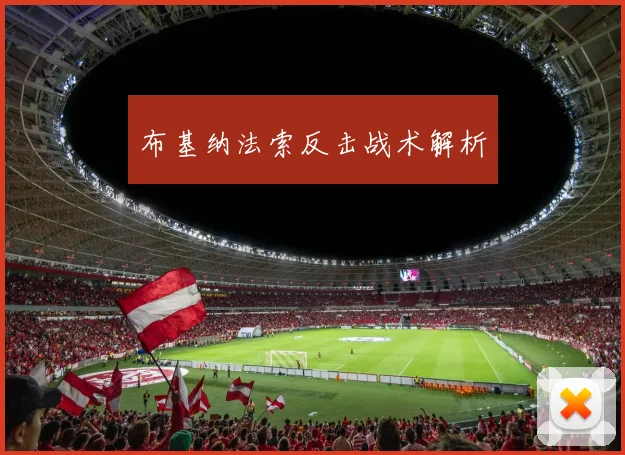 布基纳法索反击战术解析