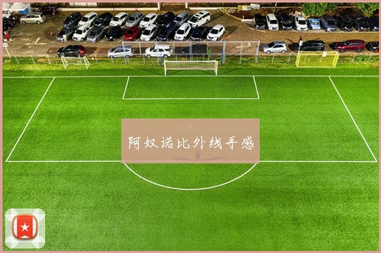 阿奴诺比外线手感