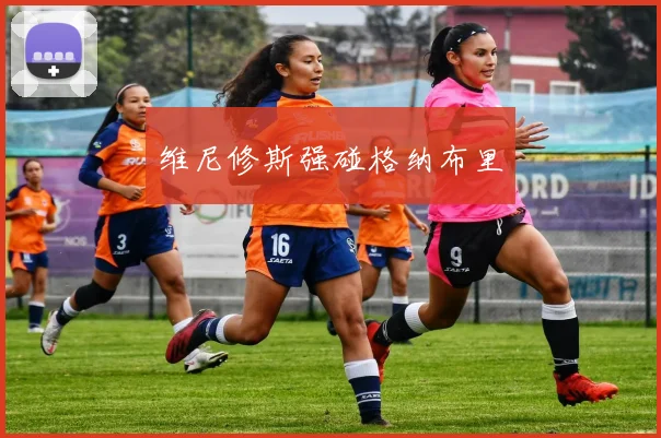 维尼修斯强碰格纳布里
