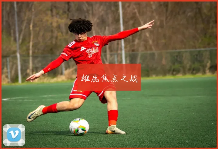 雄鹿焦点之战