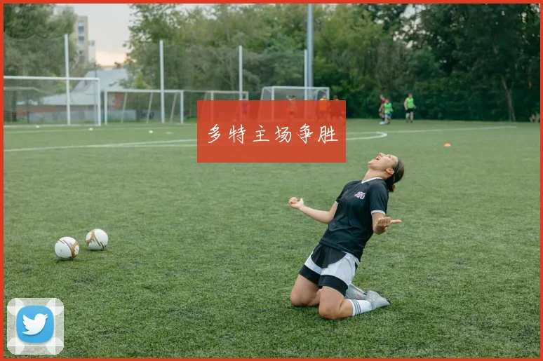 多特主场争胜