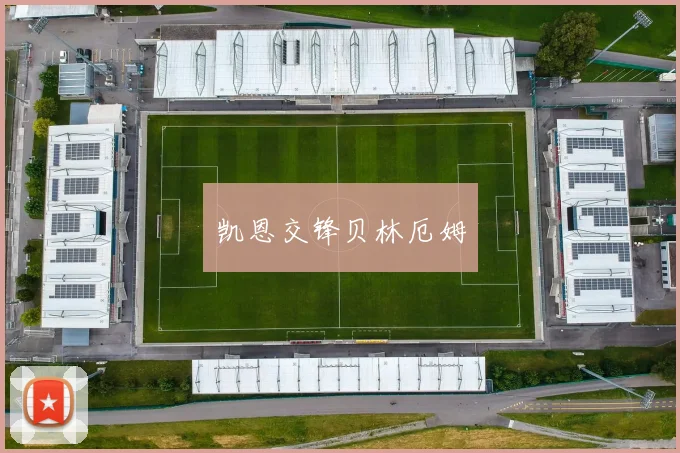 凯恩交锋贝林厄姆