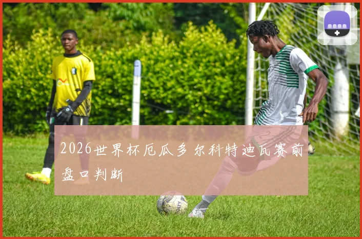 2026世界杯厄瓜多尔科特迪瓦赛前盘口判断
