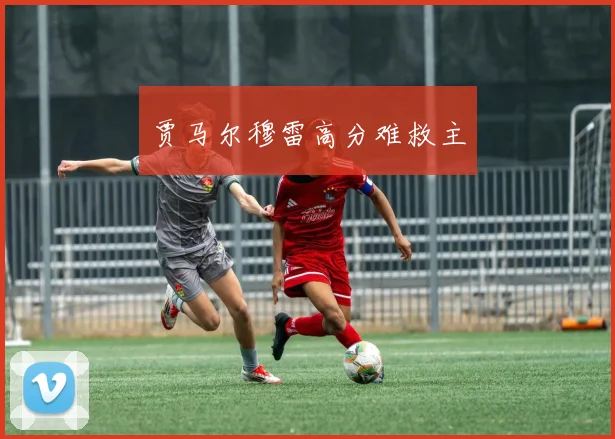 贾马尔穆雷高分难救主