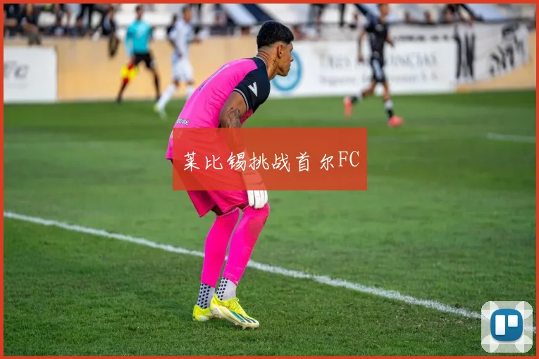 莱比锡挑战首尔FC