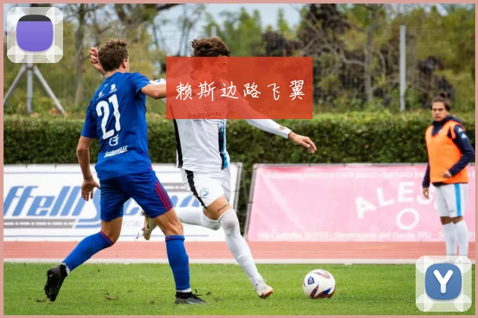 赖斯边路飞翼