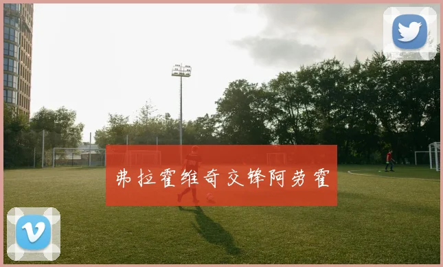 弗拉霍维奇交锋阿劳霍