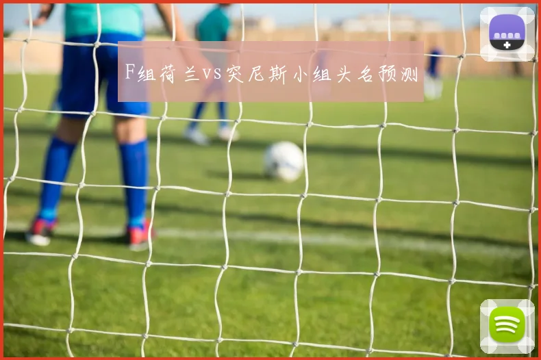 F组荷兰vs突尼斯小组头名预测