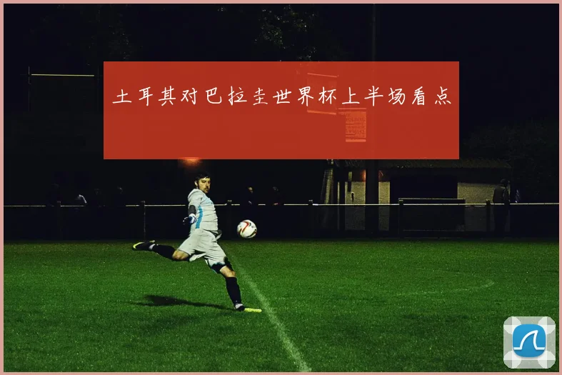 土耳其对巴拉圭世界杯上半场看点