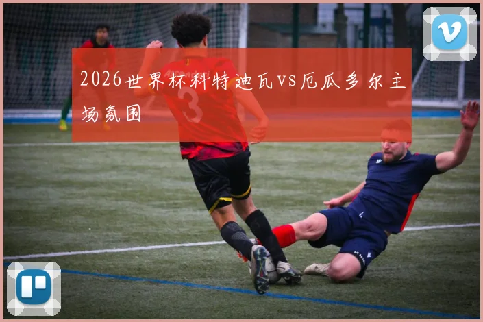 2026世界杯科特迪瓦vs厄瓜多尔主场氛围