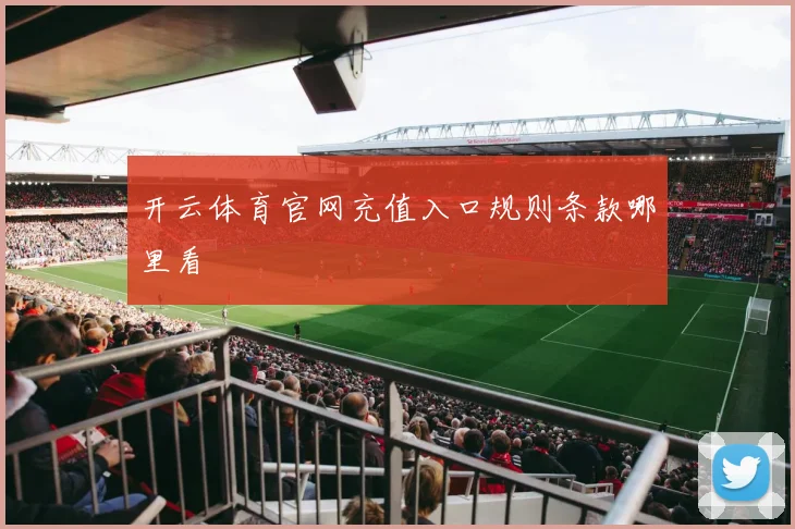 开云体育官网充值入口规则条款哪里看