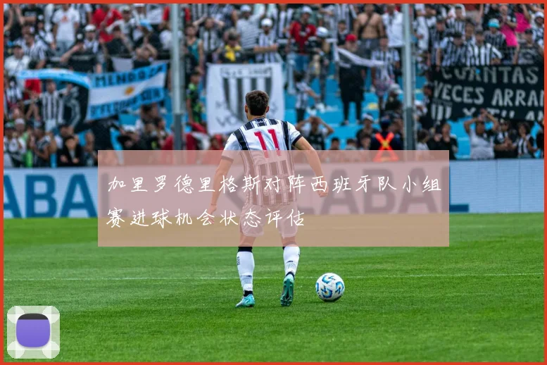 加里罗德里格斯对阵西班牙队小组赛进球机会状态评估